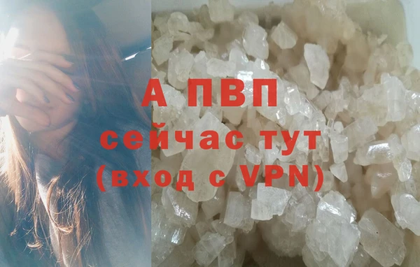 ECSTASY Абаза