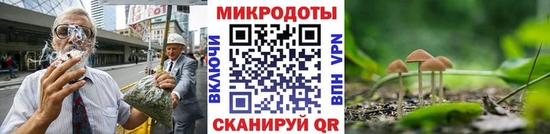 Псилоцибиновые грибы MAGIC MUSHROOMS  Новопавловск 